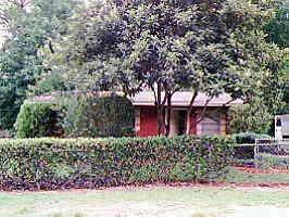 13703 NW 158th Place, Gainesville, FL 32615