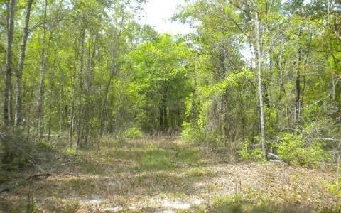 481 SW Sheppard Way, Lake City, FL 32024