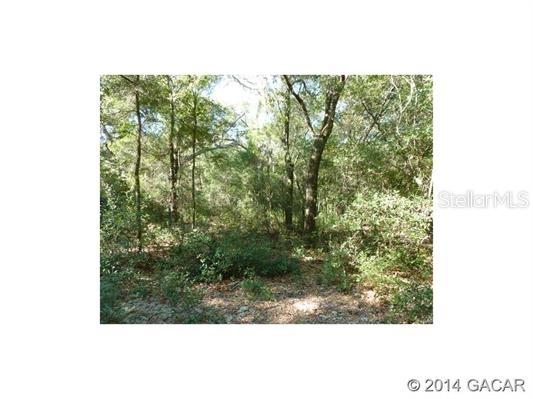 000 Mandarin Lake Rd., Putnam Hall, FL 32185