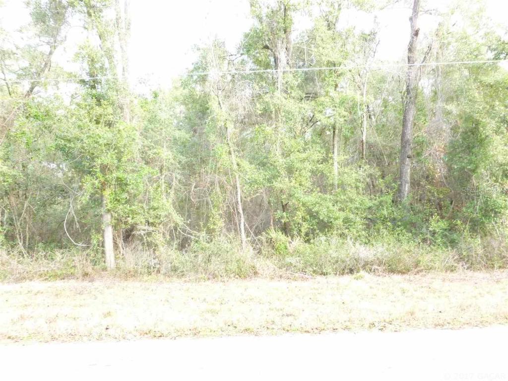 00 NE 51 Pl., Williston, FL 32696