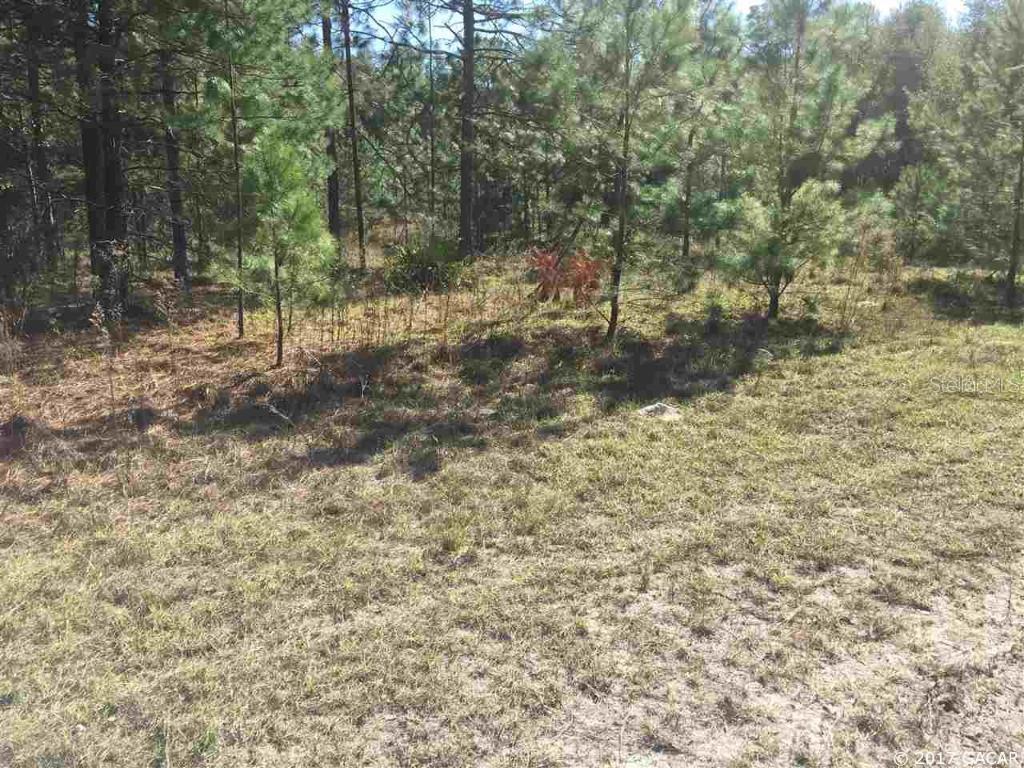 000 Plum Ct., Melrose, FL 32666