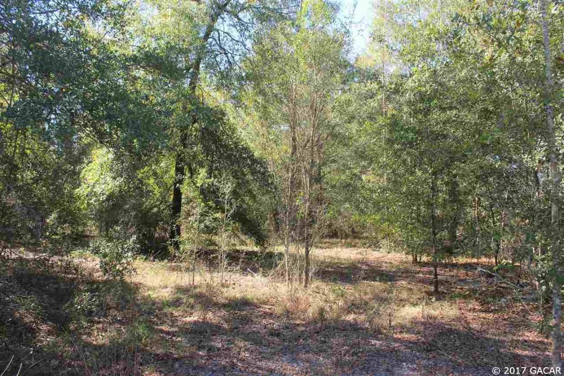 XXX NW 266th St., Newberry, FL 32669