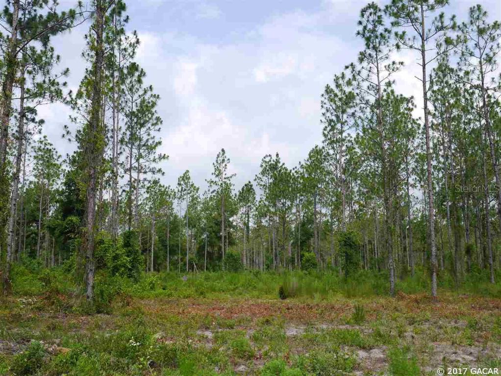 TBD 27th Road, White Springs, FL 32096