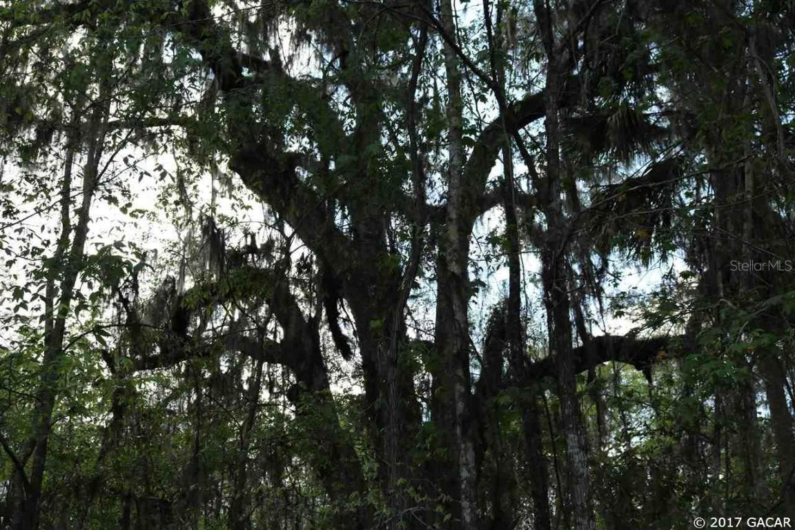 22830 NW 75th Ave. Rd., Micanopy, FL 32667