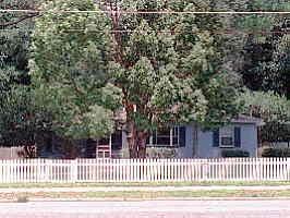 3405 NW 6th Street, Gainesville, FL 32609