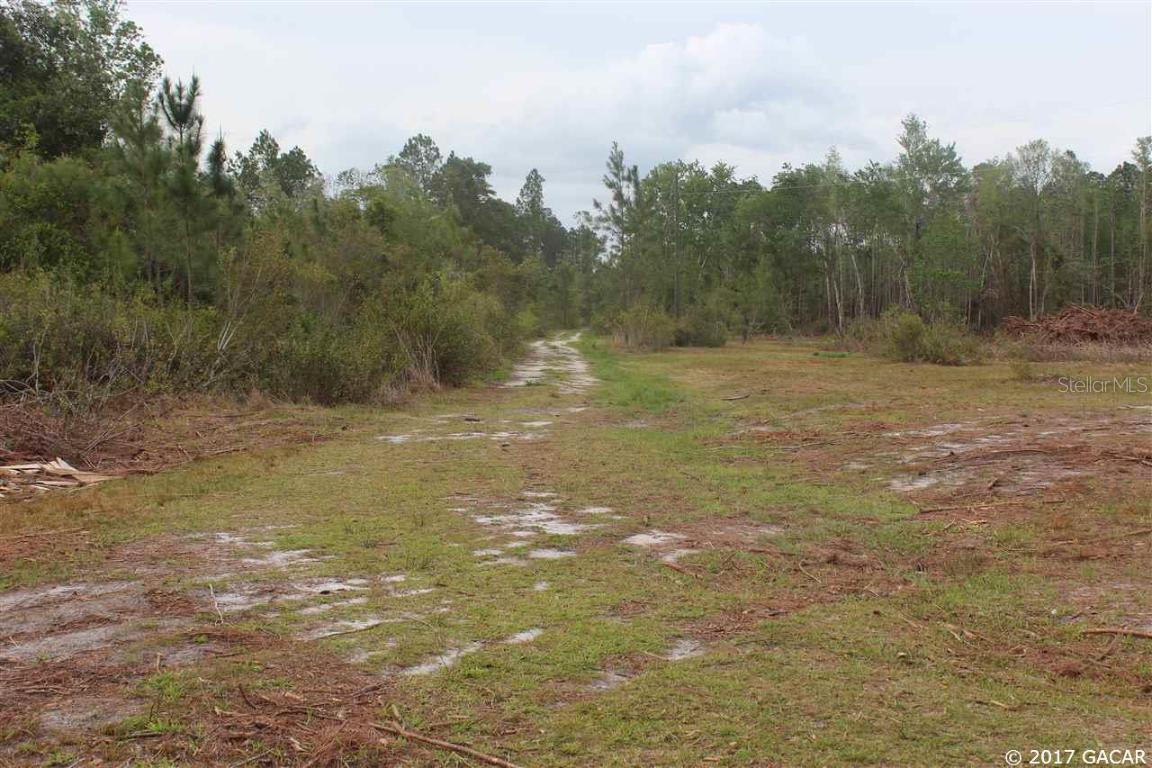 6303 E County Road 225, Gainesville, FL 32609