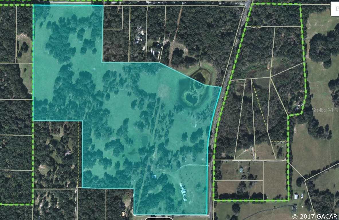 14420 SW Williston Rd., Micanopy, FL 32667