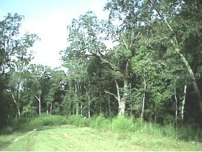 Off Bible, High Springs, FL 32643