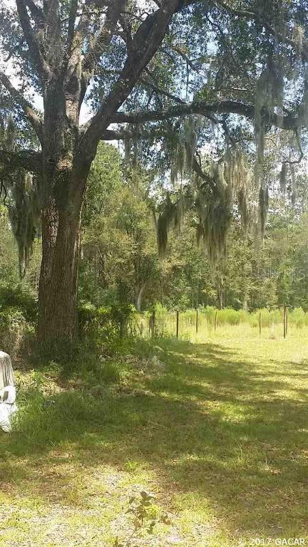 19323 NW Hwy 335, Williston, FL 32696