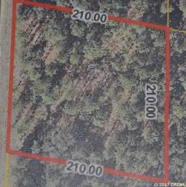 000 NE 137th Ave., Williston, FL 32696