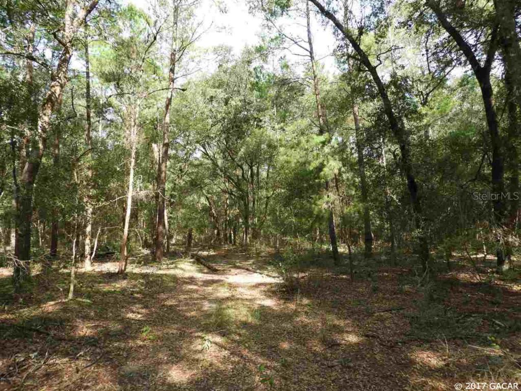 TBD Lily Lake Rd., Melrose, FL 32666