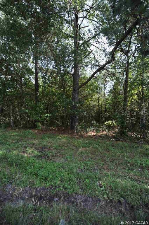 1675 NE 156 Ave., Gainesville, FL 32609