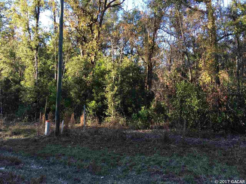 000 Sw Georgia Glen Rd., Fort White, FL 32038