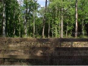 NW 91st Court, Other, FL 32667