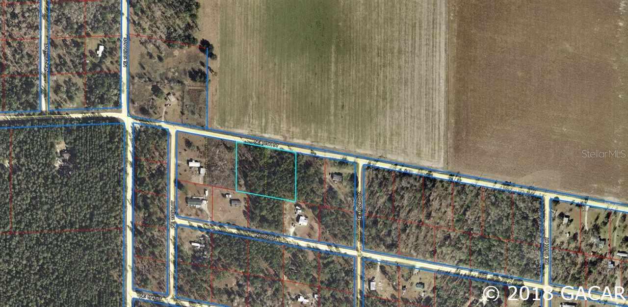 00 NE 10th St., Williston, FL 32696