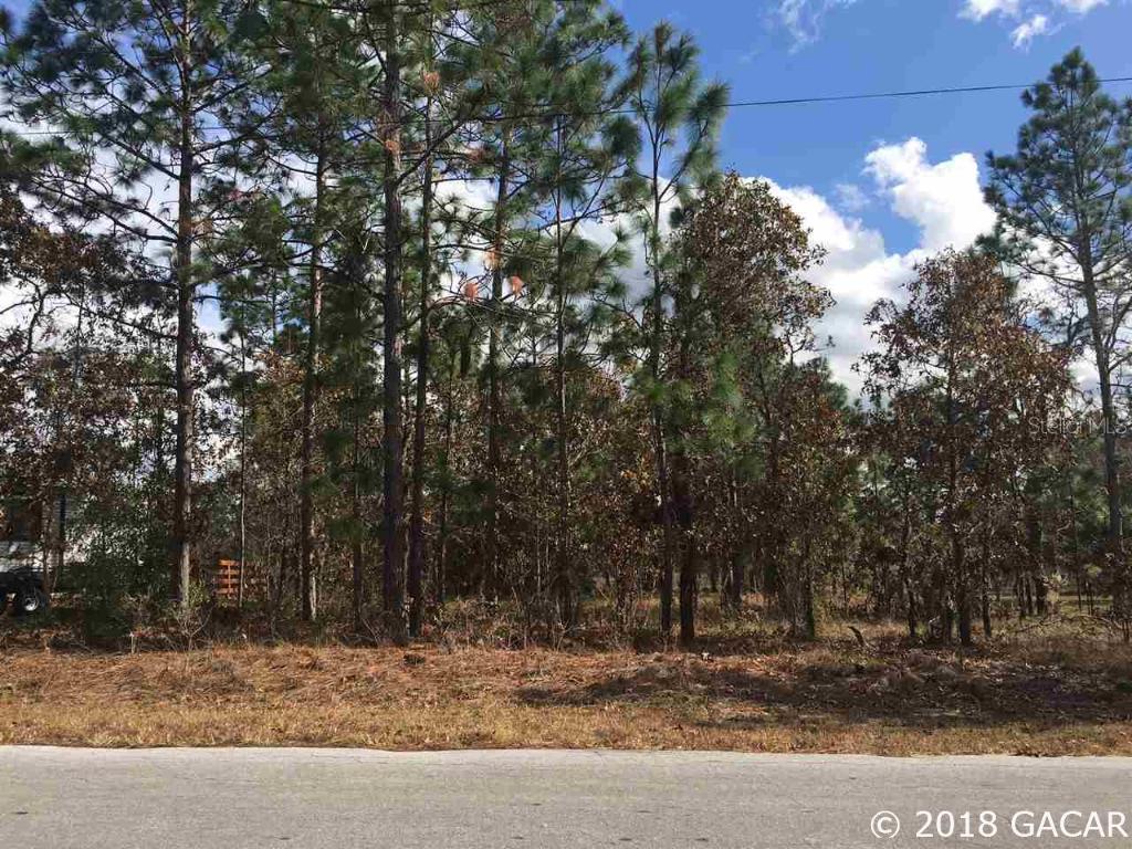 TBD NE 152nd Ct., Williston, FL 32696