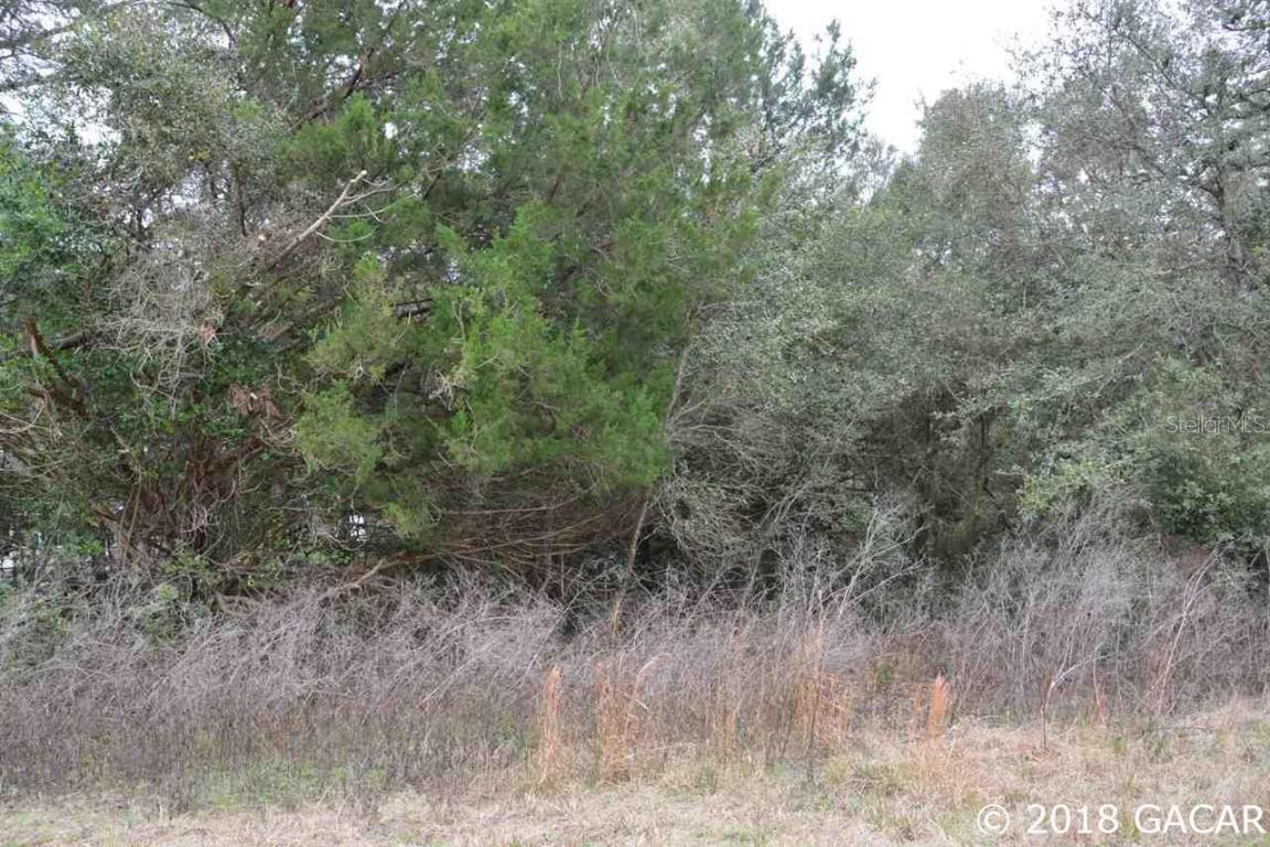 00 Immokalee Rd., Keystone Heights, FL 32656