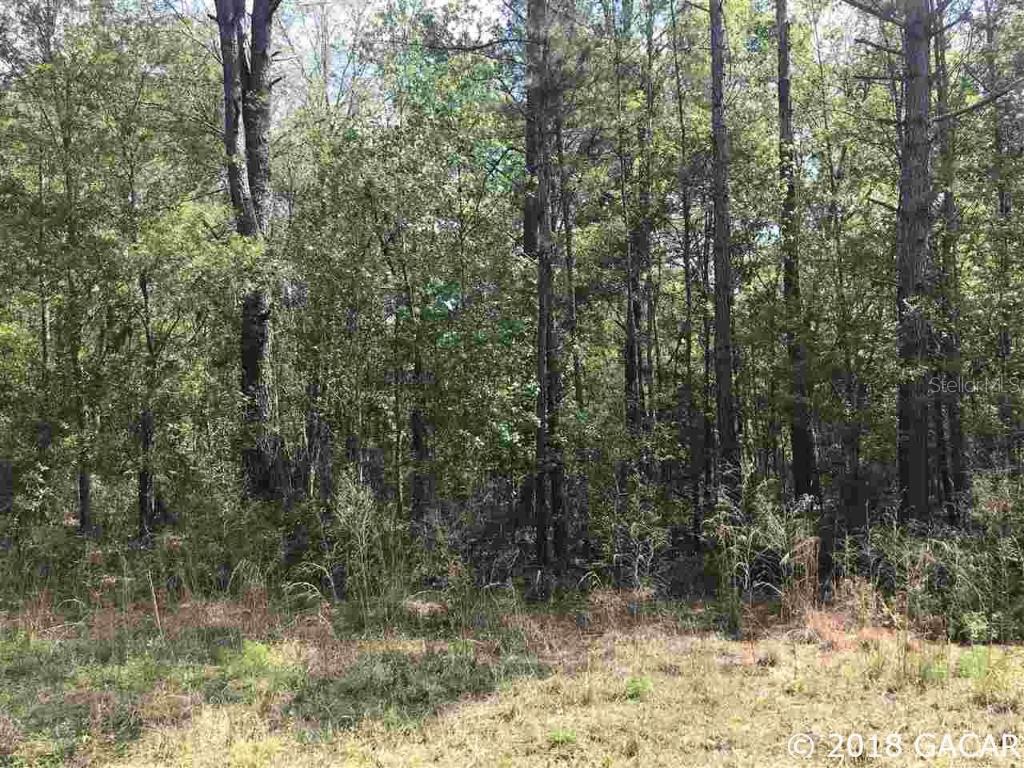 TBD SW 102nd Ave., Worthington Springs, FL 32697