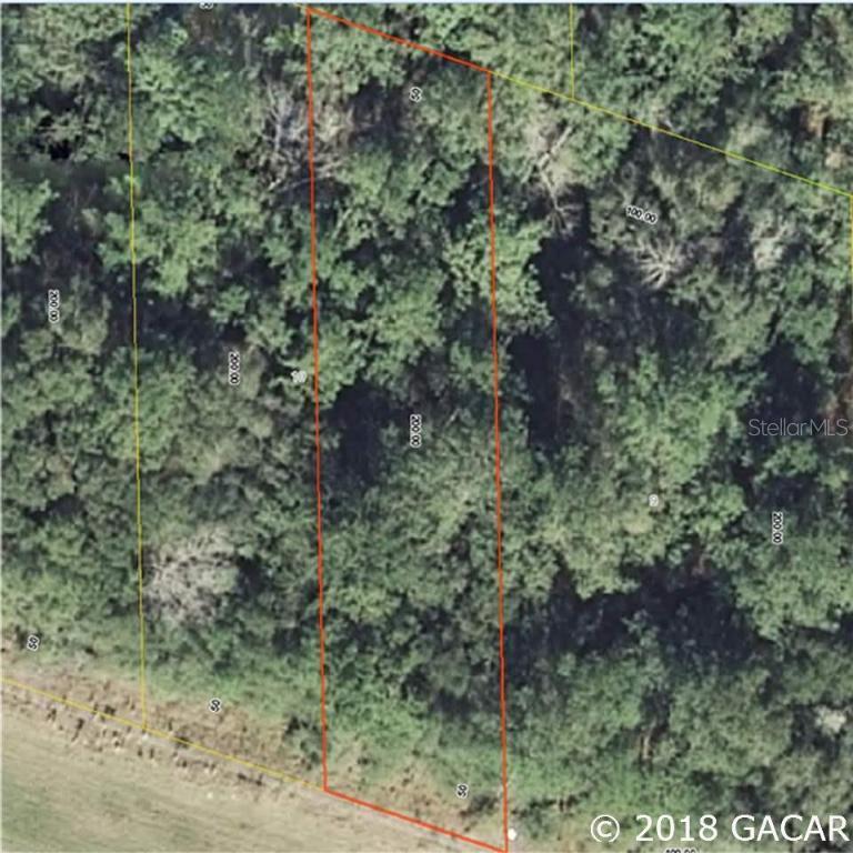 000 NE Highway 27 Alt, Williston, FL 32696