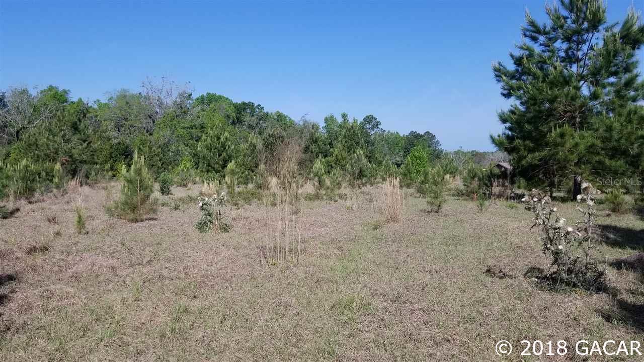 TBD Cr 241, Lake Butler, FL 32054