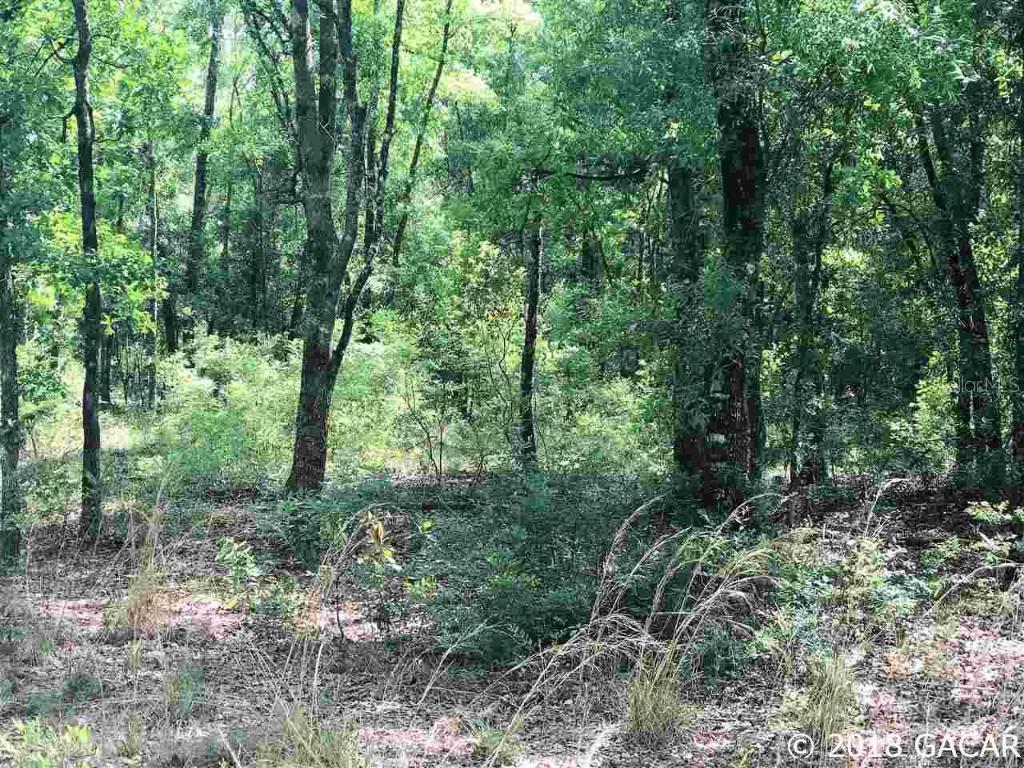 TBD SE Spruce Road, Lake City, FL 32025