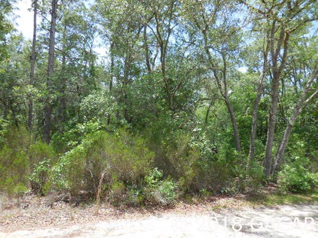 10670 NE 77th Pl., Bronson, FL 32621