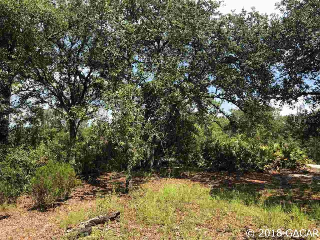 9290 NE 137th Ct., Williston, FL 32696