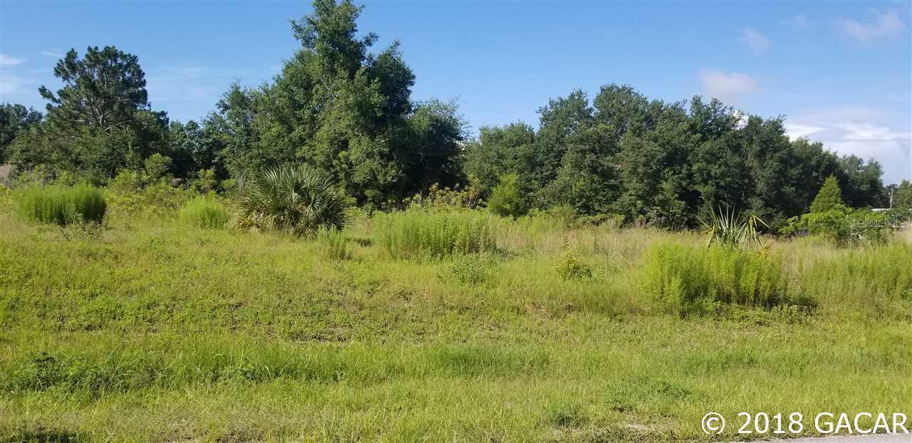 00 SE 162nd Pl., Summerfield, FL 34491