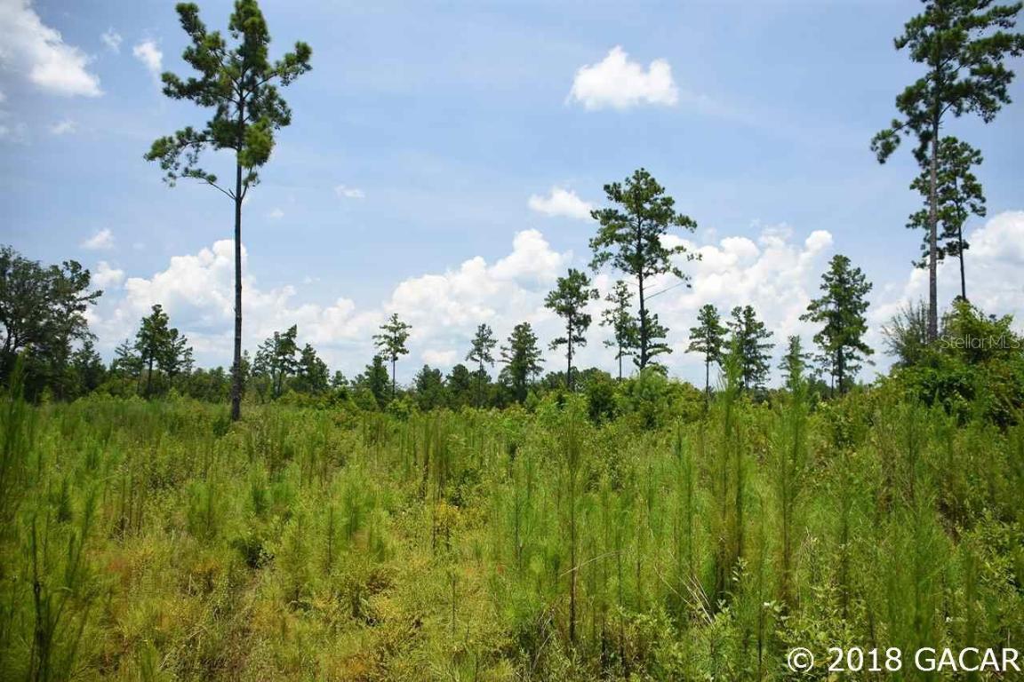 0000 NW 142 Ter., Lulu, FL 32054