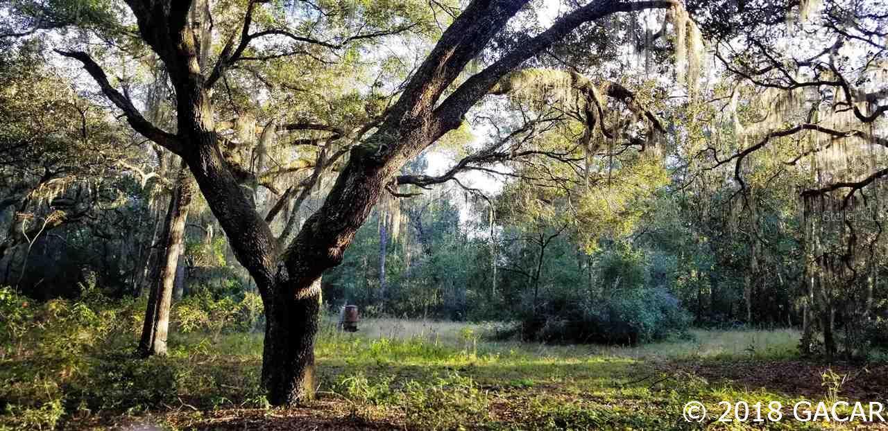 124 Lake Serena Dr., Melrose, FL 32666