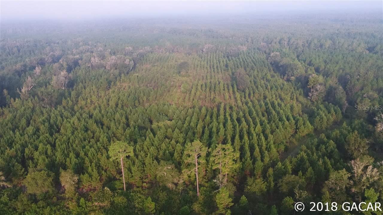 SW Davidson Tram Rd. #OC0243, Otter Creek, FL 32621