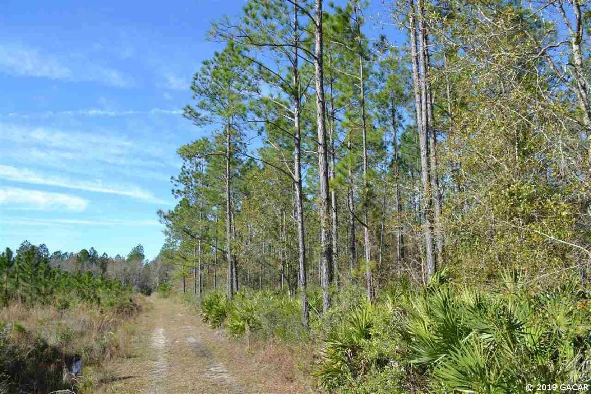 E Cr-225, Waldo, FL 32609