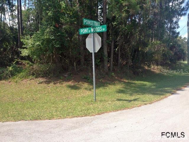 46 Poinsettia Lane, Palm Coast, FL 32164