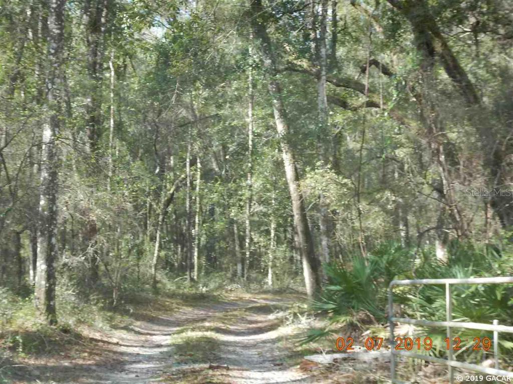 508 NW 125th, Ocala, FL 34482