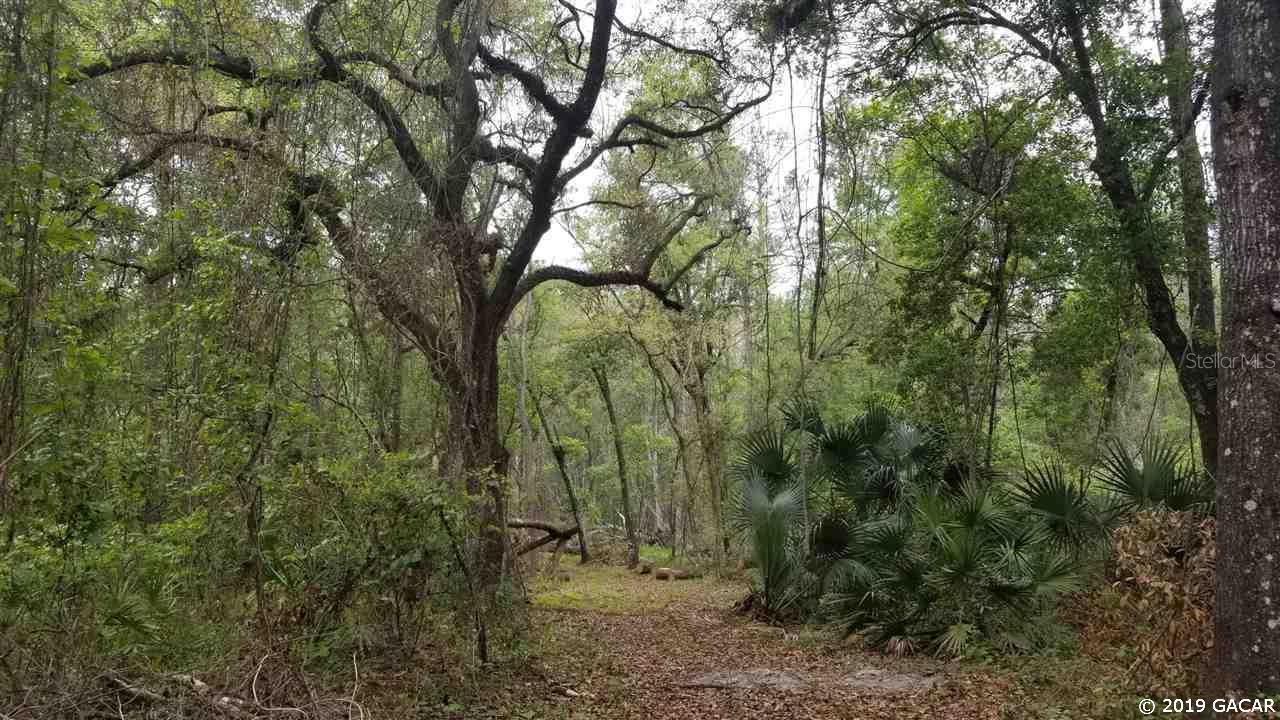11606 NE 199th Dr., Earleton, FL 32631