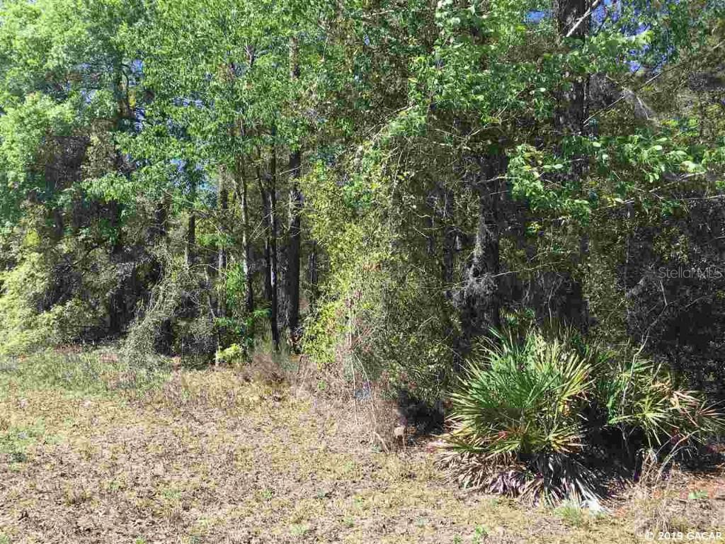 TBD NE 128th Ter., Williston, FL 32696