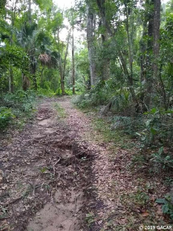 7005 SE 169th Ave., Micanopy, FL 32667