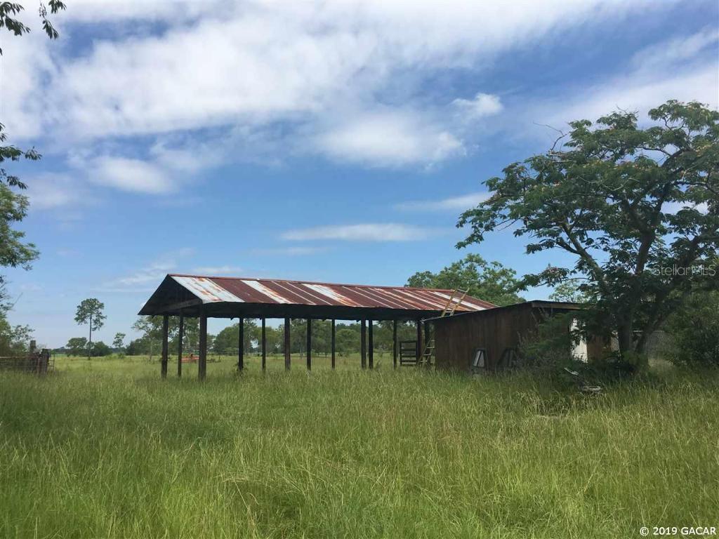 3250 NE 127 Ct., Williston, FL 32696