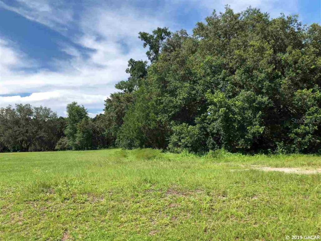 00 NE 49th St. #Lot 12, Williston, FL 32696