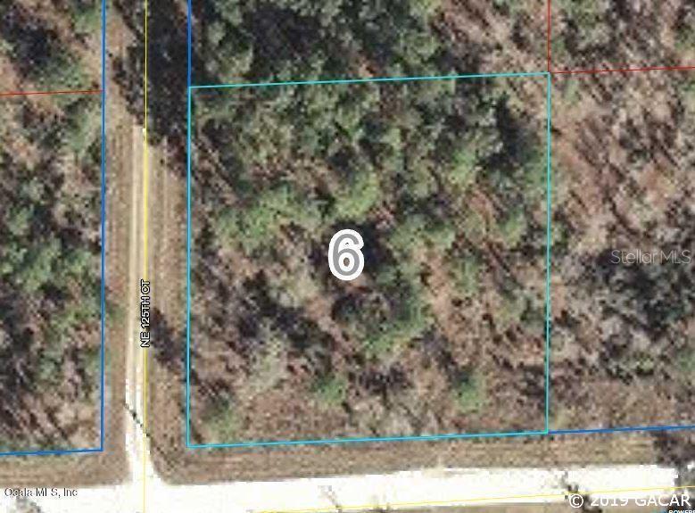 000 NE 12th St., Williston, FL 32696