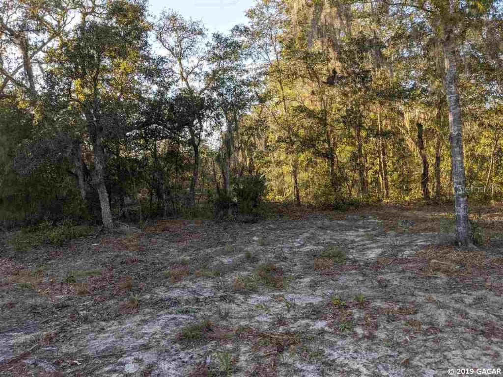 00 NE 95 Street St., Williston, FL 32696