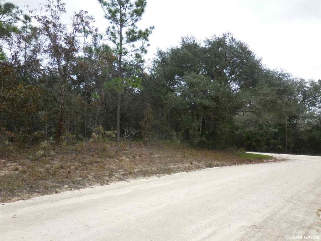 14991 SE 4 St, Williston,, FL 32696