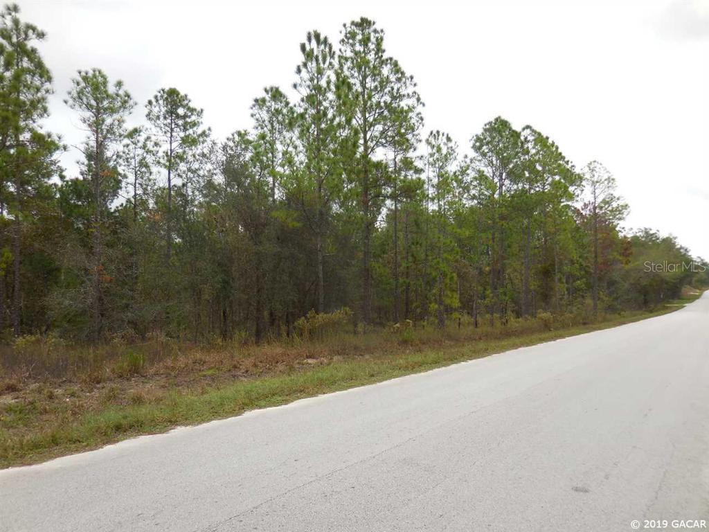 TBD SE Se 10th St St., Williston, FL 32696