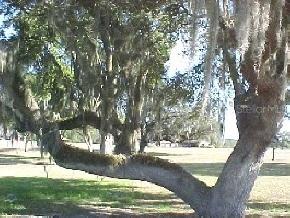 18265 Sr 335, Gainesville, FL 32696