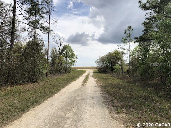000 NE 123rd Ave., Williston, FL 32696