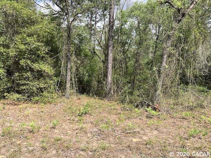000 NE 122nd Ave., Williston, FL 32696