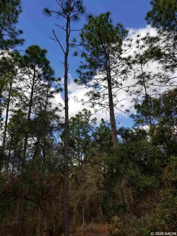 000 NE 120th Ave., Williston, FL 32696