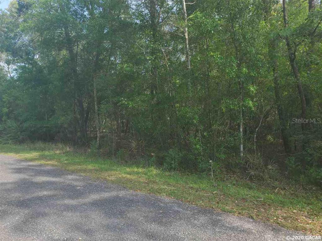 00 NE 247th Ln., Orange Springs, FL 32182