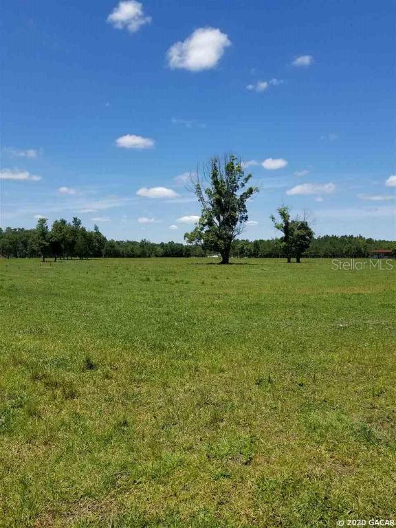 000 NE 91st Ln., Waldo, FL 32694