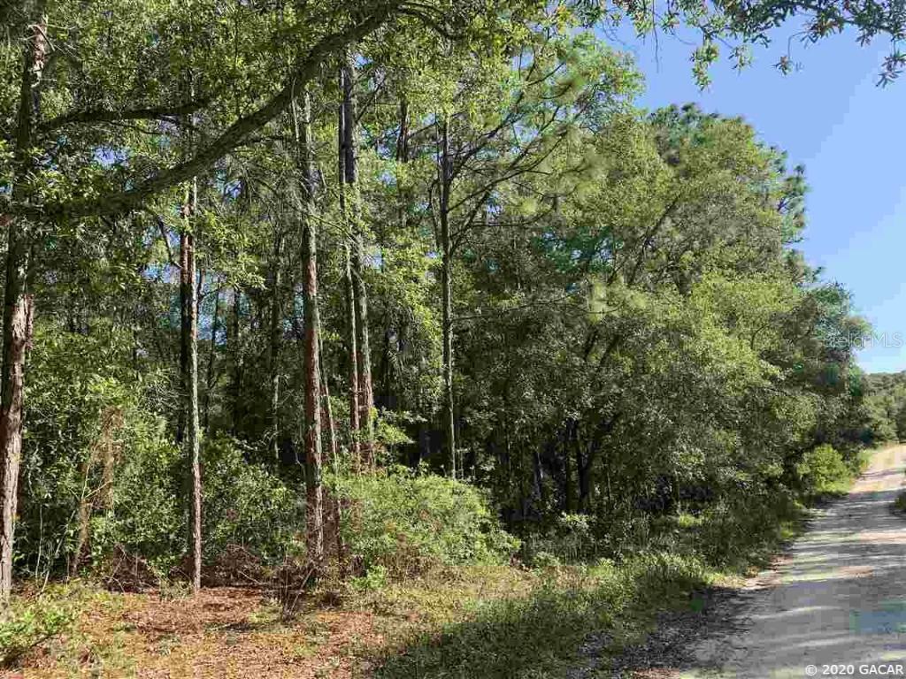 00000 Lake Carleton Dr., Melrose, FL 32666